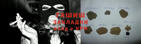 прущие грибы Анжеро-Судженск