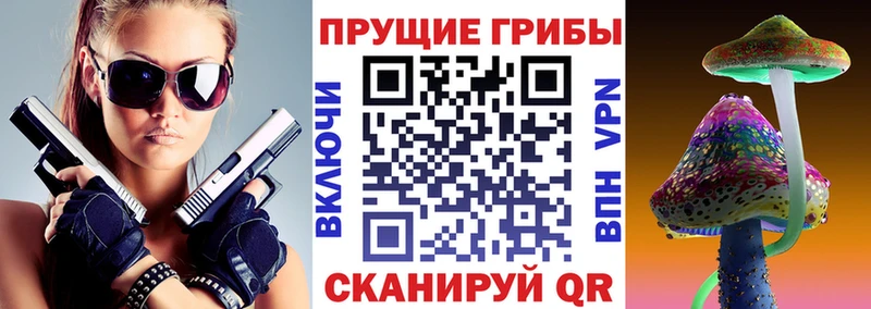 дарк нет телеграм  наркотики  Бирюсинск  Галлюциногенные грибы прущие грибы 